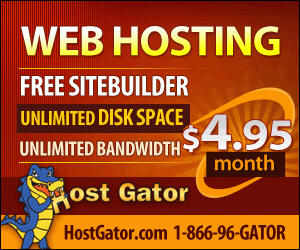 web hosting service
