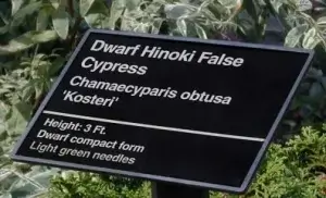 Outdoor Signage
