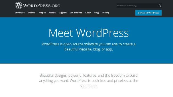 Create WordPress Website