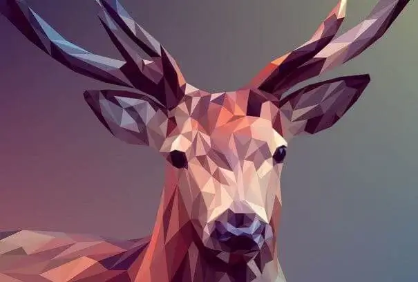 Graphic Design Skill