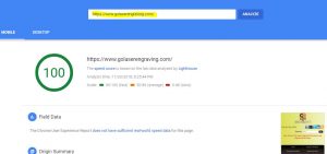 Google Website Speed Analyzer