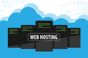 How To Select The Best Web Hosting Company For Your Online Business
