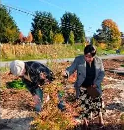 gardening